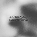 Reiki With Sydney Guided Meditation